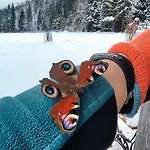 Szałas Na Szlaku Domek alpejski *