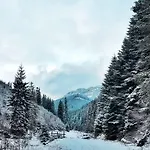 Szałas Na Szlaku Witów