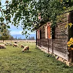 Szałas Na Szlaku * Witów