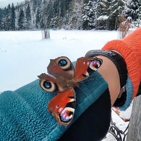 Szalas Na Szlaku Dağ evi *