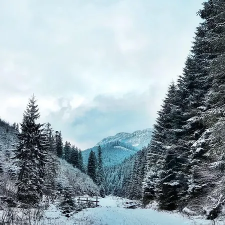 Szalas Na Szlaku Witow (Tatra)