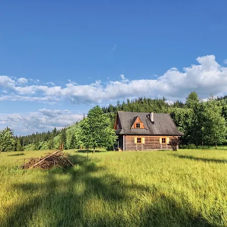 Szałas Na Szlaku Domek alpejski *