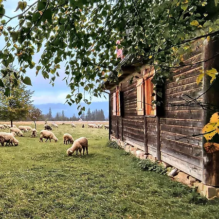 Szalas Na Szlaku * Witow (Tatra)