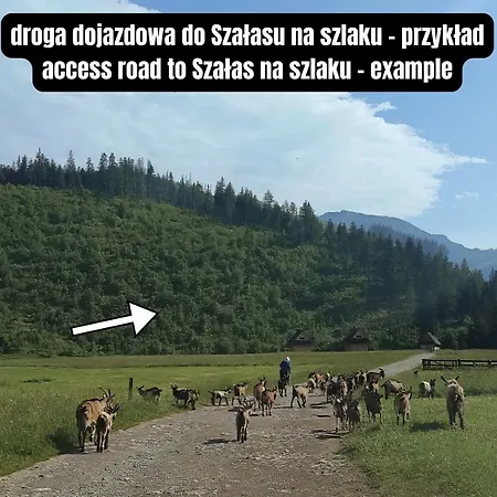 Szalas Na Szlaku *