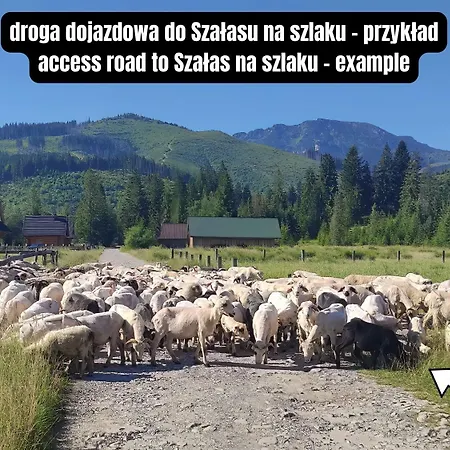 Chalet Szalas Na Szlaku